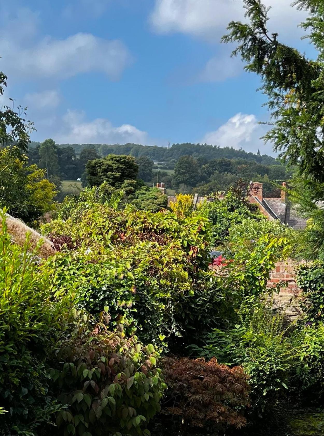 Flower Cottage By Ludlow Castle With Onsite Parking Exterior foto