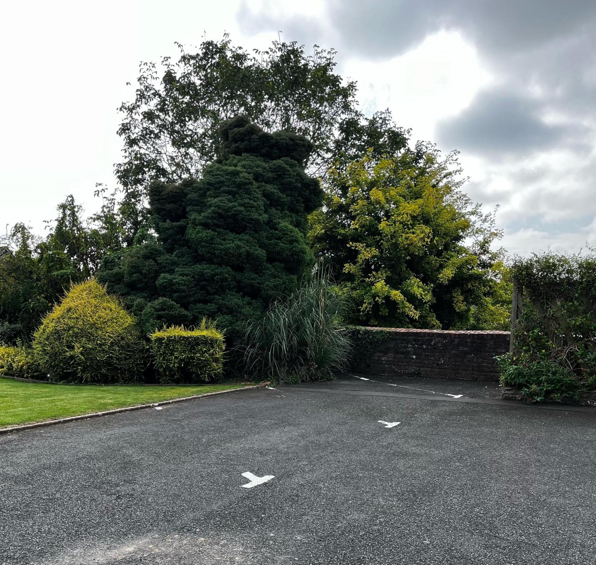 Flower Cottage By Ludlow Castle With Onsite Parking Exterior foto
